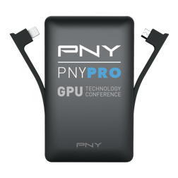 PNY LM3000
