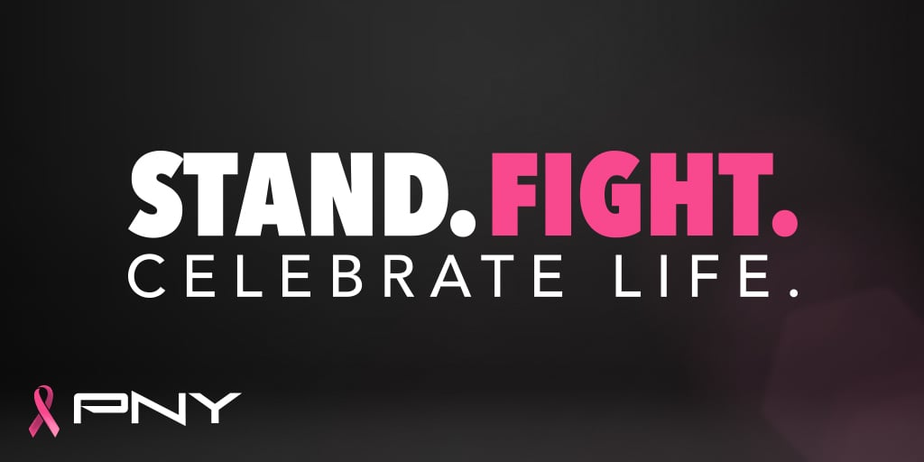 Stand. Fight. Celebrate Life.  Pink October