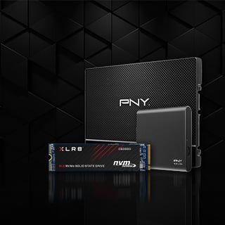 PNY Solid State Drives